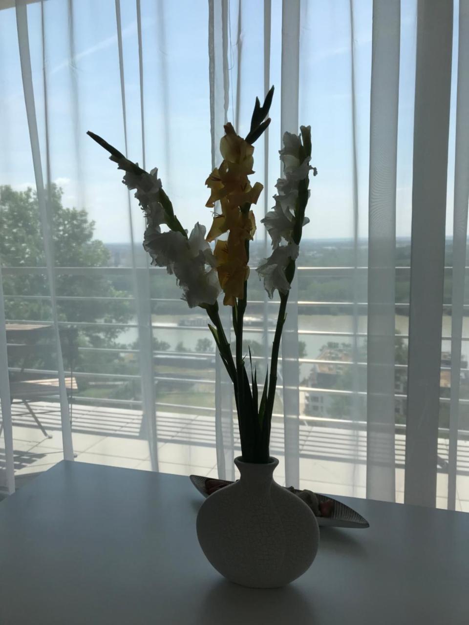 River View Residence Bratislava Bagian luar foto